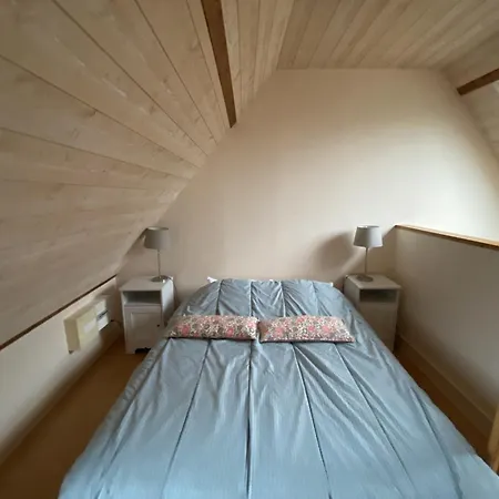 A 70m Des Thermes, Wifi, Animaux Bienvenus - Fr-1-541-137 Apartment *