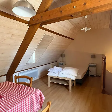 A 70m Des Thermes, Wifi, Animaux Bienvenus - Fr-1-541-137 Apartamento La Roche-Posay